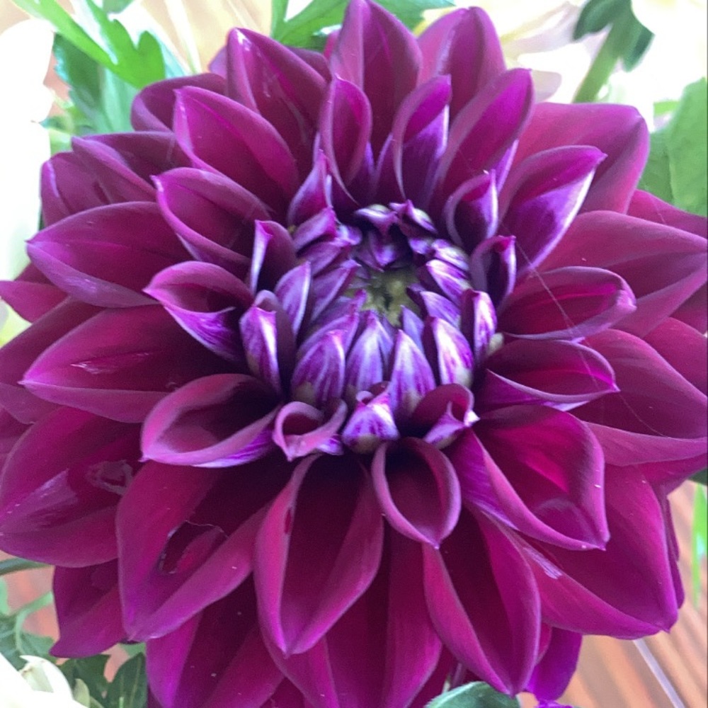 Meet your Posher, Katherine